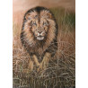 1000 - NICO BULDER: THE LION