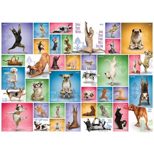 YOGA DOGS