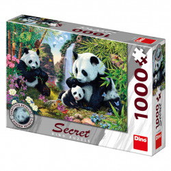 SECRET PUZZLE: PANDAS