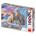 SECRET PUZZLE: OSOS POLARES