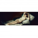 GOYA - LA MAJA DESNUDA