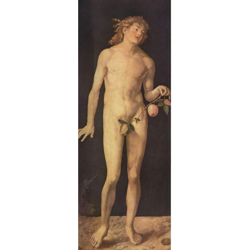 ALBRECHT DÜRER - ADAN