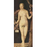 1000 - ALBRECHT DÜRER - EVA