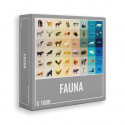 FAUNA