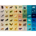 FAUNA