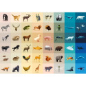 FAUNA