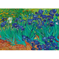VAN GOGH - IRIS