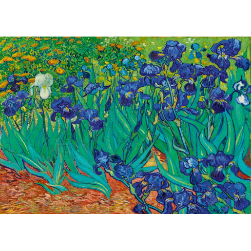 VAN GOGH - IRIS
