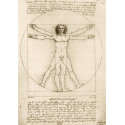 DA VINCI- EL HOMBRE DE VITRUVIO