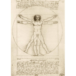 DA VINCI- EL HOMBRE DE VITRUVIO