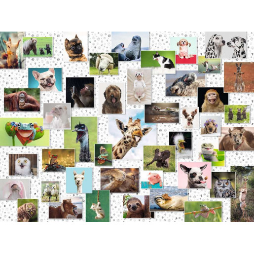 COLLAGE DE ANIMALES DIVERTIDOS