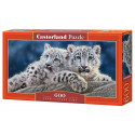 600 - SNOW LEOPARD CUBS