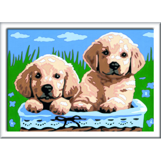 CREART - PERROS