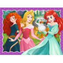 4 IN A BOX - DISNEY PRINCES