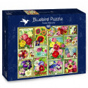FLORES