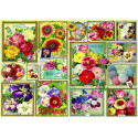 FLORES