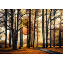 BOSQUE MAGICO