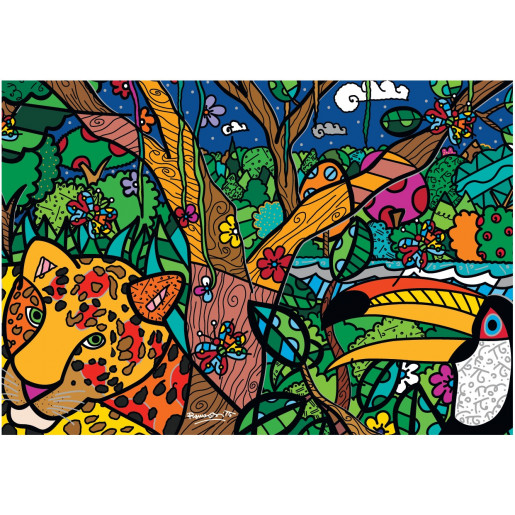 ROMERO BRITTO, AMAZON