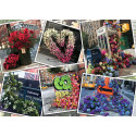 FLASH DE FLORES DE NY
