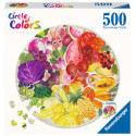 CIRCULAR - FRUTAS
