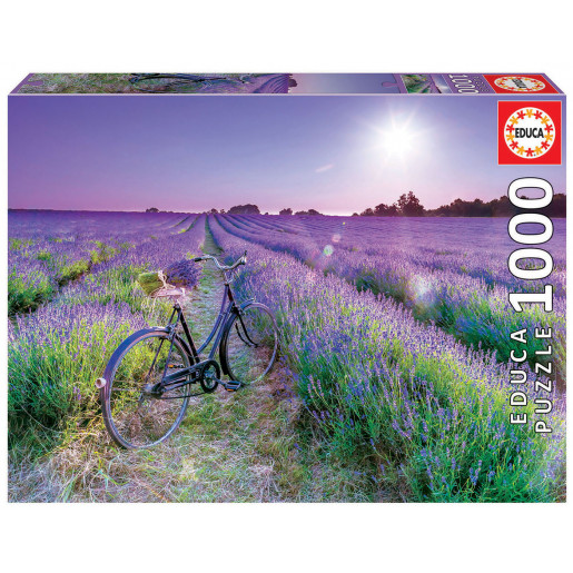 BICICLETA CAMPO DE LAVANDA