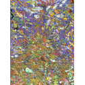 ARCOIRIS DE PECES