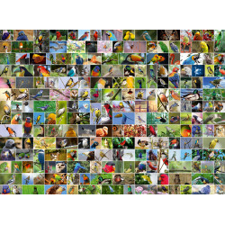 LAS AVES MAS HERMOSAS DEL MUNDO