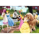 PRINCESAS DISNEY