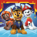 PAW PATROL