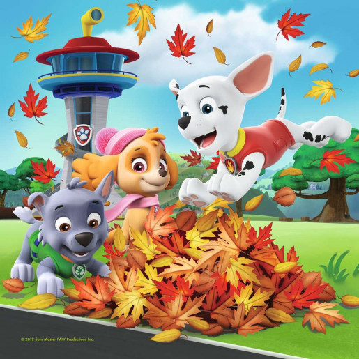 PAW PATROL