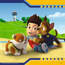 PAW PATROL