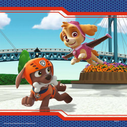 PAW PATROL