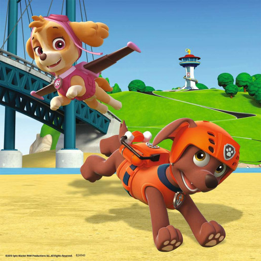 PAW PATROL