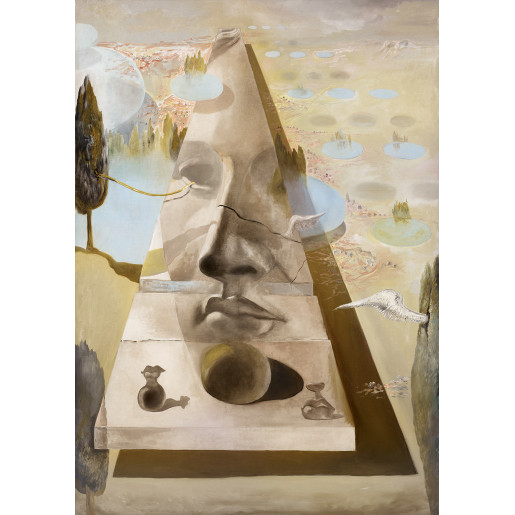 SALVADOR DALI, APARICION DEL ROSTRO DE AFRODITA