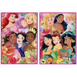 DISNEY PRINCESS