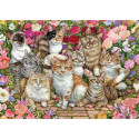 FLORAL CATS