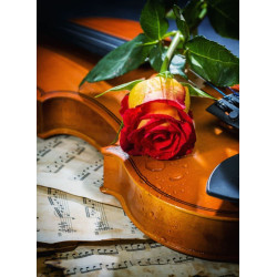 MUSICA, AMOR Y TRISTEZA