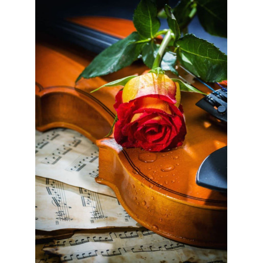 MUSICA, AMOR Y TRISTEZA