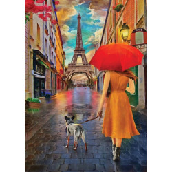 PASEO POR LAS CALLES DE PARIS