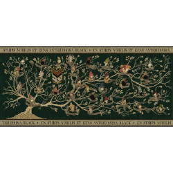 HARRY POTTER, ARBOL FAMILIAR