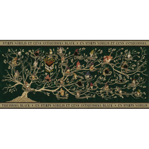 HARRY POTTER, ARBOL FAMILIAR