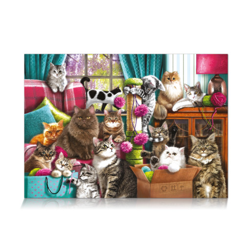 LA CASA DE LOS GATOS