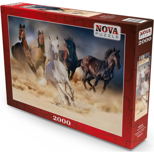 CARRERA DE CABALLOS