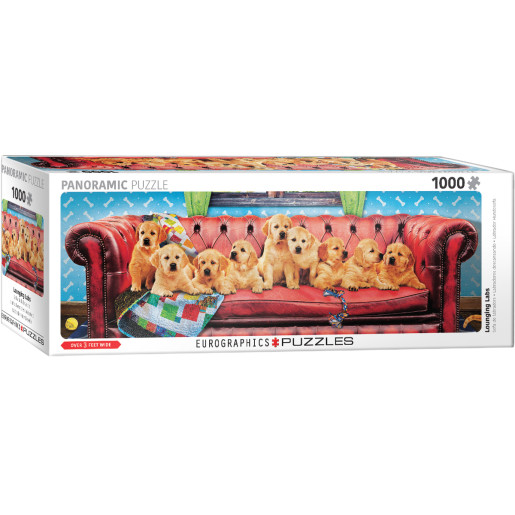 PERRITOS EN EL SOFA