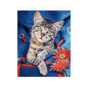GATO EN MOCHILA