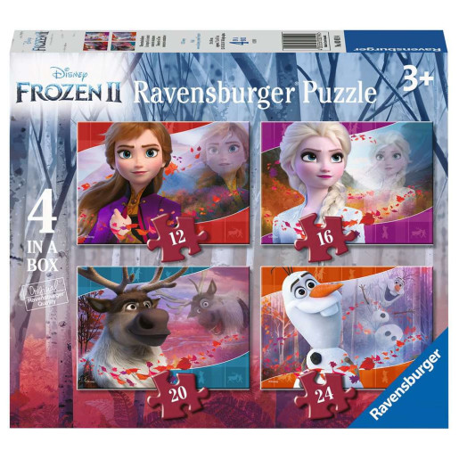 DISNEY FROZEN 2 - 12-16-20-24