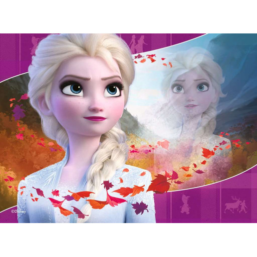 DISNEY FROZEN 2 - 12-16-20-24