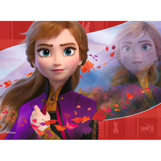 DISNEY FROZEN 2 - 12-16-20-24