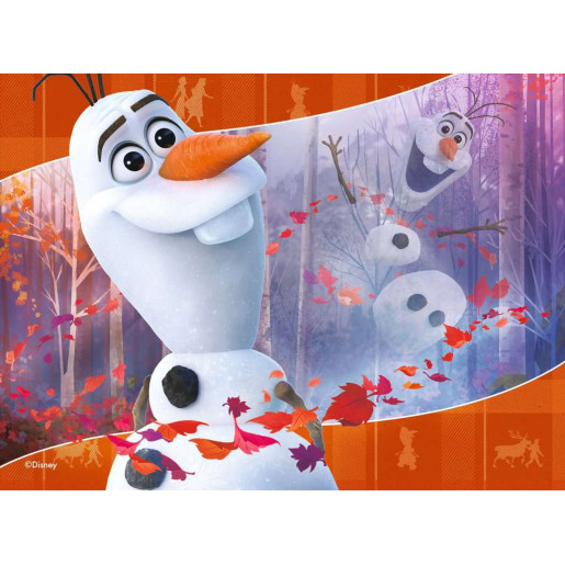 DISNEY FROZEN 2 - 12-16-20-24