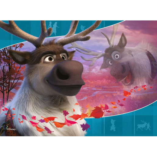 DISNEY FROZEN 2 - 12-16-20-24